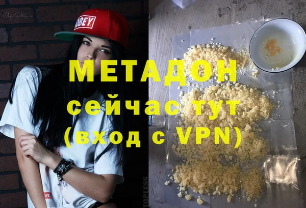 стаф Алзамай