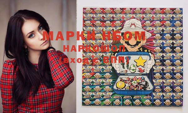 стаф Алзамай