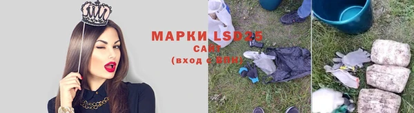 стаф Алзамай