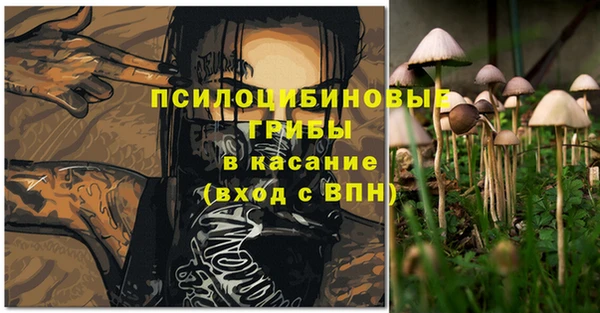 стаф Алзамай