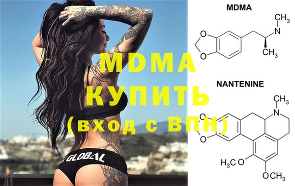 стаф Алзамай