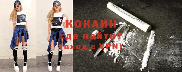 стаф Алзамай