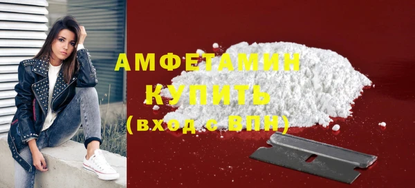 стаф Алзамай