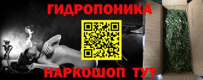 прущие крисы Заволжье