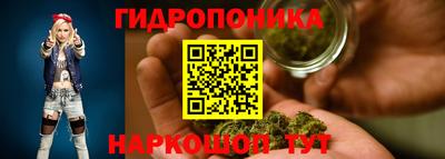 гидропоника Пыть-Ях