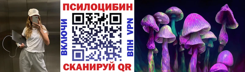 Псилоцибиновые грибы прущие грибы hydra зеркало Новодвинск купить