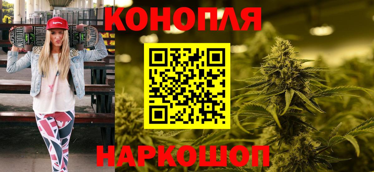 Бошки Шишки планчик Новодвинск